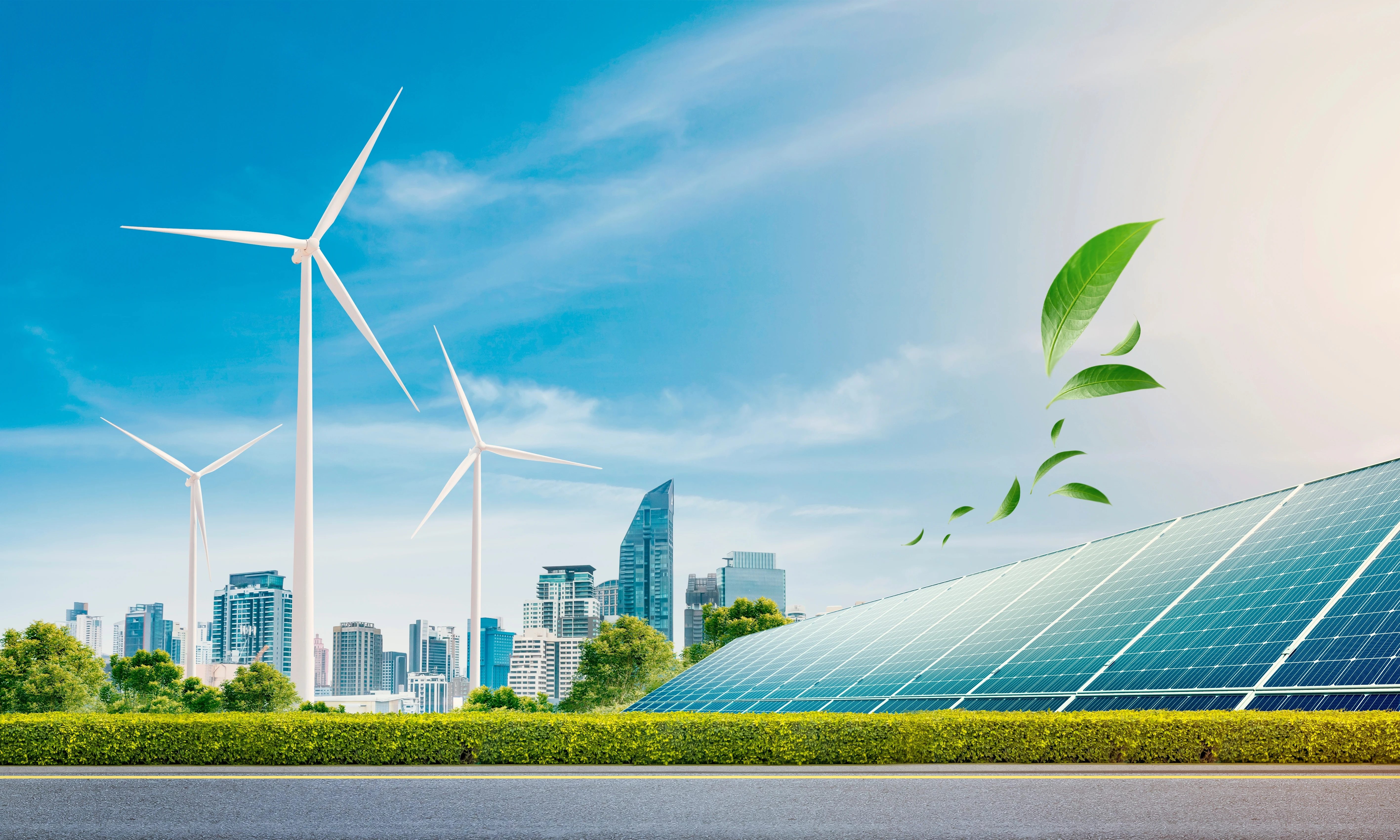 Green Energy Project Valuation
